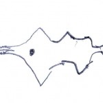 enfant-aquarium-04
