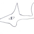 enfant-aquarium-05