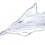 enfant-aquarium-11