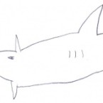 enfant-aquarium-26b